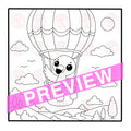 Hot Air Balloon