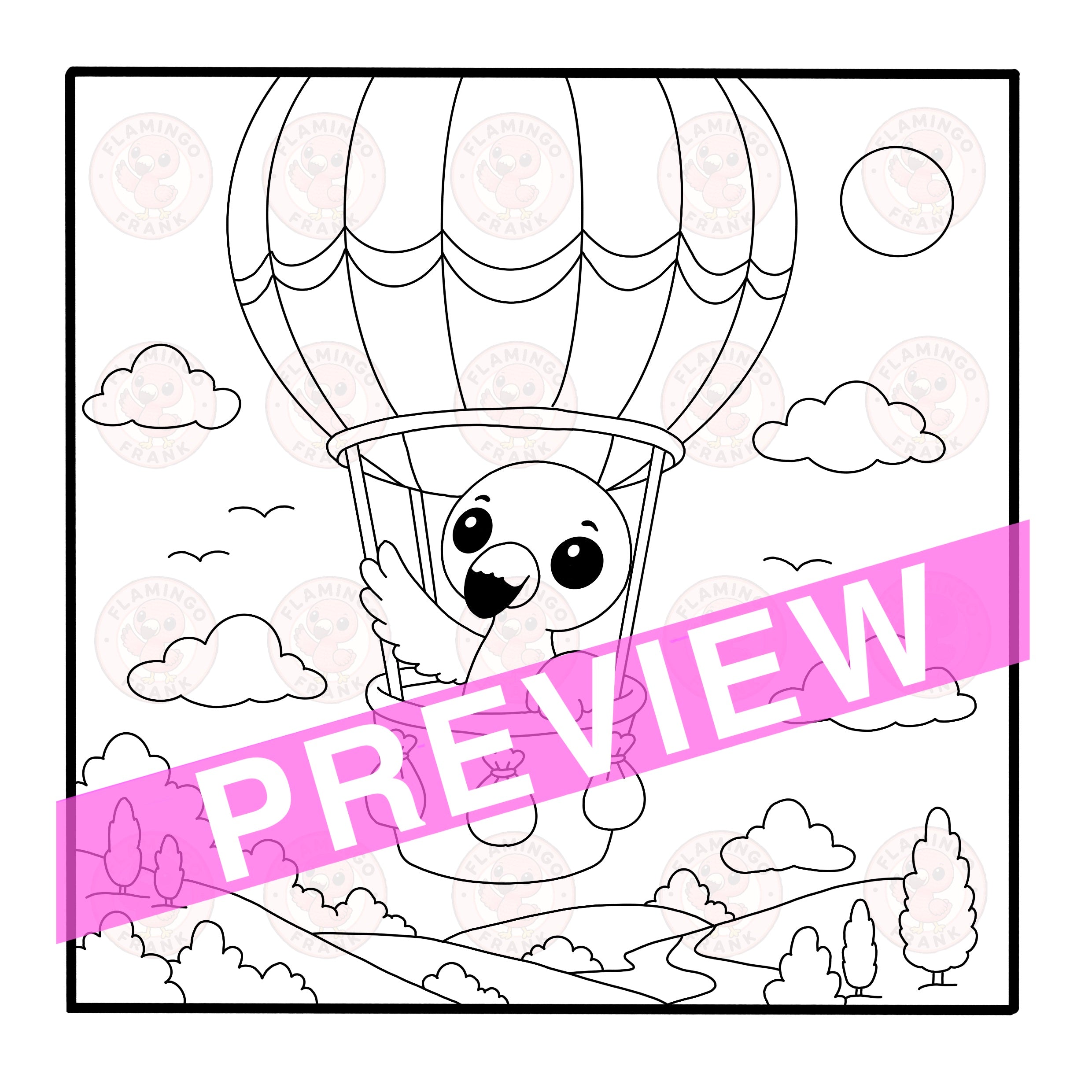 Hot Air Balloon